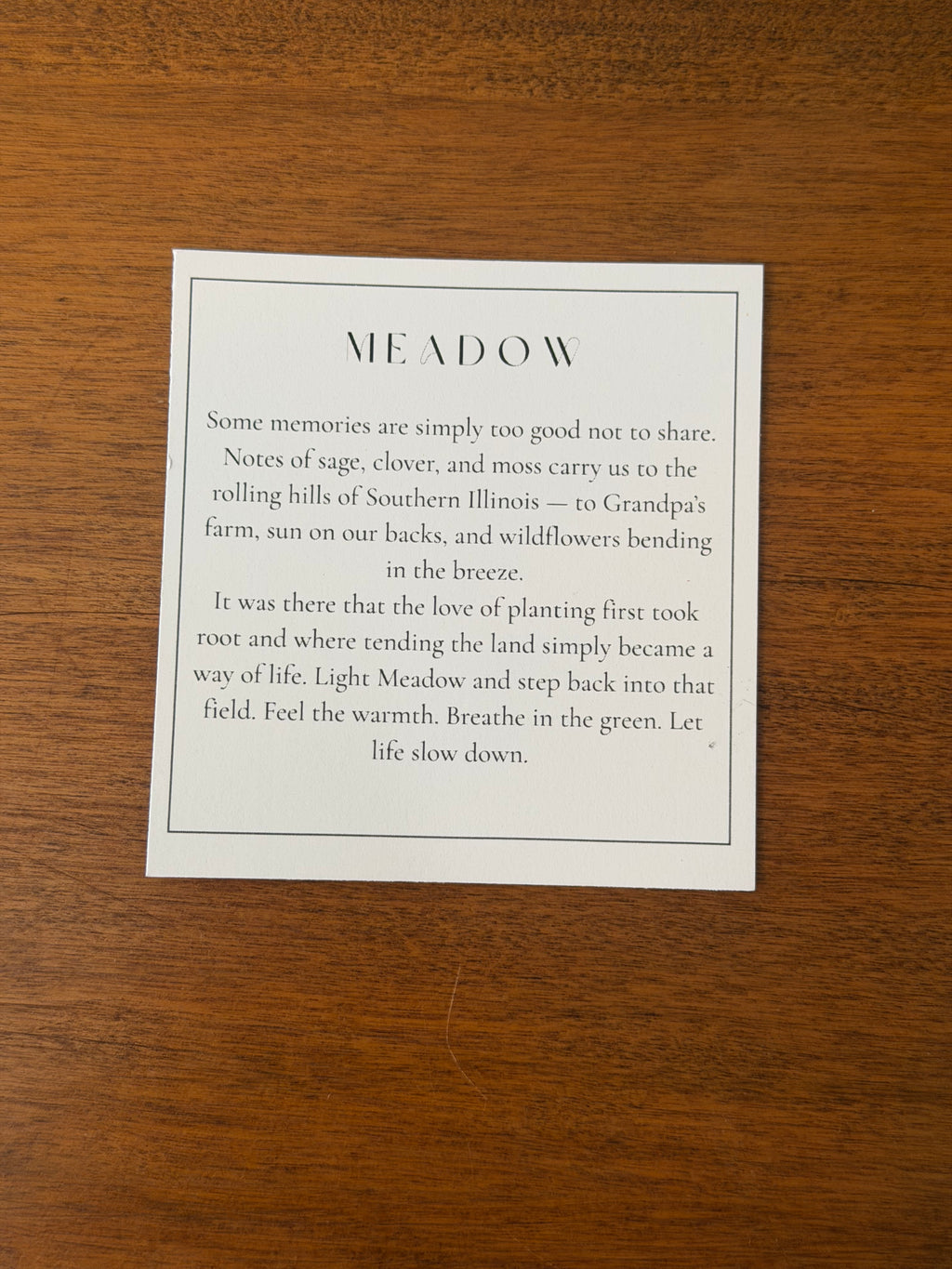 Meadow Candle | JellsGarden x Salon 34